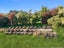 660P Cathedral Road, Domett, Cheviot - Carousel 21