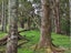 0 Peria Road, Peria, Kaitaia - Carousel 13