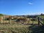 3 Quail Way, Waitarere, Levin - Carousel 8