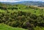 271 Awamate Road, Frasertown, Wairoa - Carousel 9