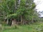 0 Peria Road, Peria, Kaitaia - Carousel 12