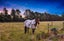 527 Browns Rock Road, Burnt Hill, Oxford - Carousel 15