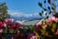 283B Scarborough Street, Kaikoura, Kaikoura, Marlborough - Carousel 22