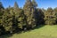 43 Waiariki Road, Whakapara, Hikurangi - Carousel 20
