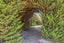 360 Gebbies Pass Road, Tai Tapu, Christchurch - Carousel 35