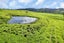 0 Maungakaramea Road, Maungakaramea, Maungakaramea - Carousel 18