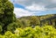 44 Mako Street, Oneroa, Waiheke Island - Carousel 18