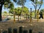 140 Rimu Street, Te Kauwhata, Waikato, Waikato - Carousel 29