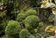 5 Broomlea Street, Wakari, Dunedin - Carousel 22