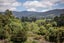 16 Donegal Place, Katikati, Katikati - Carousel 27