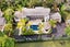 7 Cheverton Place, Saint Heliers, Auckland - Carousel 4