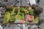 10A Queen Street, Waikino, Waihi - Carousel 18