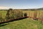 31 Timaru Road, Waimate, Waimate - Carousel 29