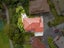 441G Dominion Road, Mount Eden, Auckland - Carousel 20