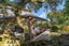 3 Muriwai Road, Waimauku, Waimauku - Carousel 5