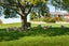 3 Mcmillan Road, TIRAU, Tirau - Carousel 20