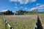 239 Blue Spur Road, Blue Spur, Hokitika - Carousel 9