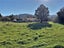 875 Collingwood-Bainham Main Road, Rockville, Collingwood - Carousel 6