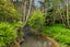 19 Mountain View Road, Morningside, Auckland - Carousel 40