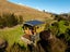 20 Genia Drive, Wakefield - Carousel 23
