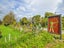 111 Bowman Road, Woodville, Woodville - Carousel 26
