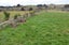 2 Cullen Street, EKETAHUNA, Eketahuna - Carousel 5