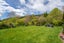 1815 Motueka Valley Highway, Ngatimoti, Tasman, Nelson / Tasman - Carousel 42