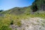 6673 State Highway 63, Blenheim - Carousel 15