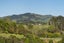 177 Penetaka Heights, Pyes Pa, Tauranga - Carousel 19