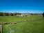 300 Tirohanga Road, North Taieri, Mosgiel - Carousel 31
