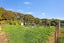 236 Alma Road, Westport, Westport - Carousel 18
