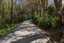 2958 State Highway 10, Paewhenua Island, Mangonui - Carousel 4