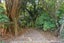 29 Motukari Place, Onaero, Urenui - Carousel 11