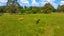 1805 Cust Road, Cust, Cust - Carousel 41
