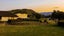 533 Brookby Road, Blenheim - Carousel 24
