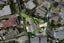 23 Coromandel Crescent, Mairangi Bay, North Shore City, Auckland - Carousel 24