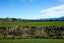103D Beach Road, Kaikoura - Carousel 31