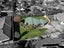 215 Grandview Road, Grandview Heights, Hamilton - Carousel 3