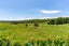 10/306 Oneriri Road, Kaiwaka - Carousel 48