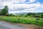 293 Koputarao Road, KOPUTAROA, SHANNON - Carousel 6