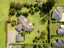 31 No 1 Road, Te Puke, Te Puke - Carousel 49