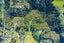 839 Owhiwa Road, Onerahi - Carousel 27