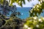 21 Great Barrier Road, Enclosure Bay, Waiheke Island, Auckland - Carousel 15