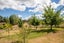 233 LETTS GULLY RD, GALLOWAY, ALEXANDRA - Carousel 32