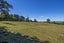 0 Akerama Road, Hukerenui, Hikurangi - Carousel 24