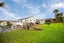 16 Tamatea Drive, Snells Beach, Snells Beach - Carousel 29