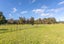 315A Woollams Avenue, Coromandel, Coromandel - Carousel 13