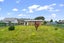 221 Ball Street, Kingswell, Invercargill - Carousel 13