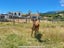 27 Raukawa Road, Peka Peka - Carousel 16