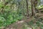 0 Whananaki Road, Whananaki, Hikurangi - Carousel 11